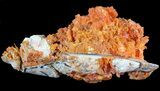 Bright Orange Wulfenite Crystals - Rowley Mine, AZ #49383-1